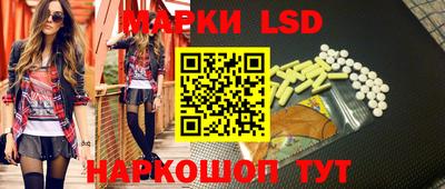крисы Моздок