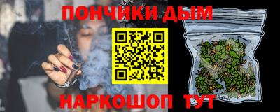 крисы Моздок