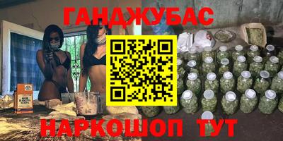 крисы Моздок
