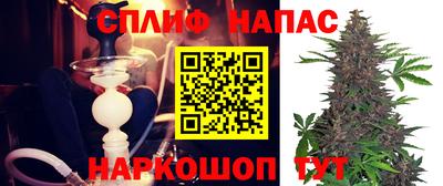 PSILOCYBIN Можга