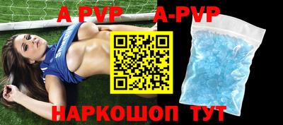 крисы Моздок