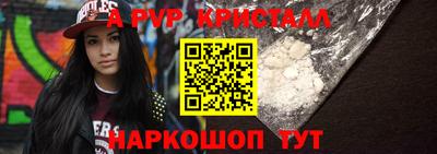 PSILOCYBIN Можга