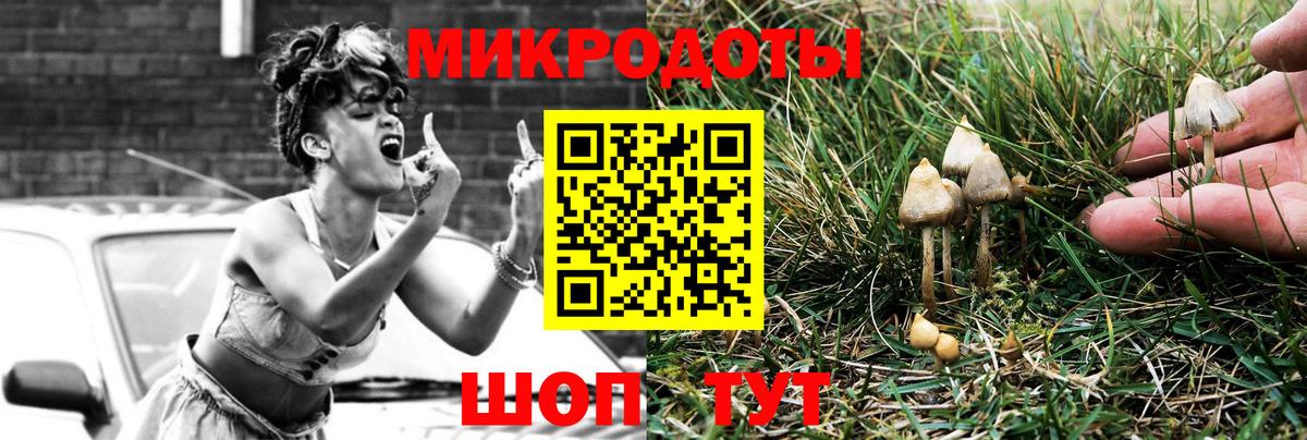 Галлюциногенные грибы прущие грибы Тамбов